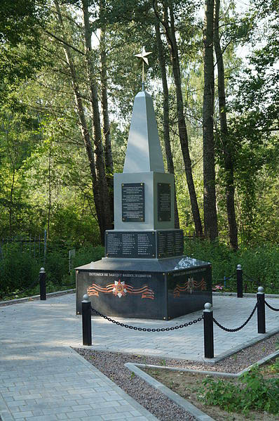 Soviet War Graves Chulkovskoe Cemetery #1