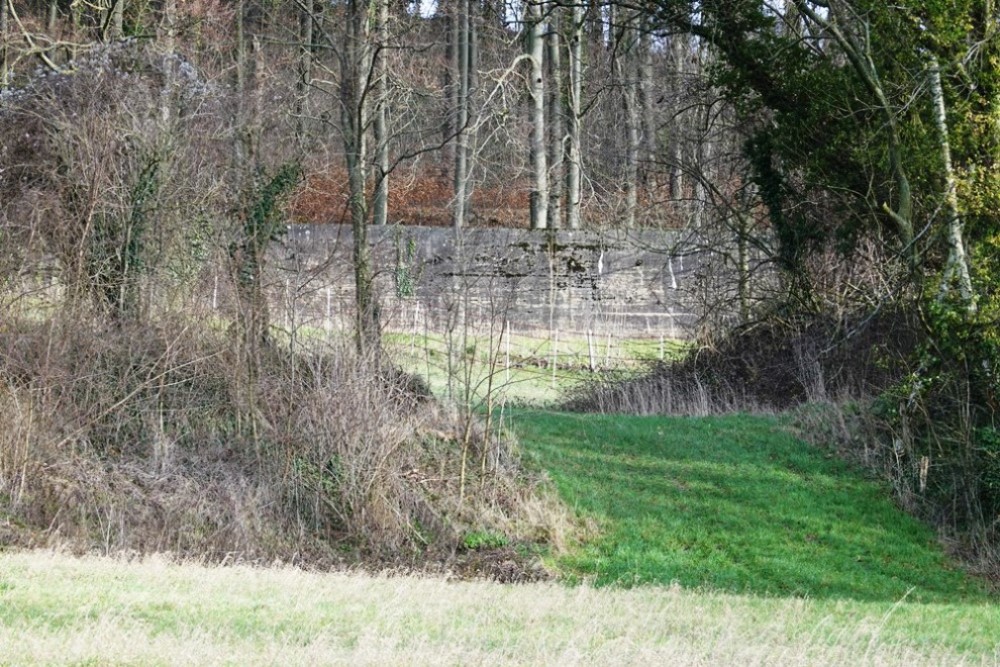 Westwall - Tankmuur Schneeberg #2