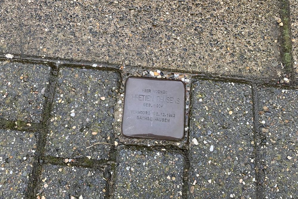 Stumbling Stone Rijksweg
