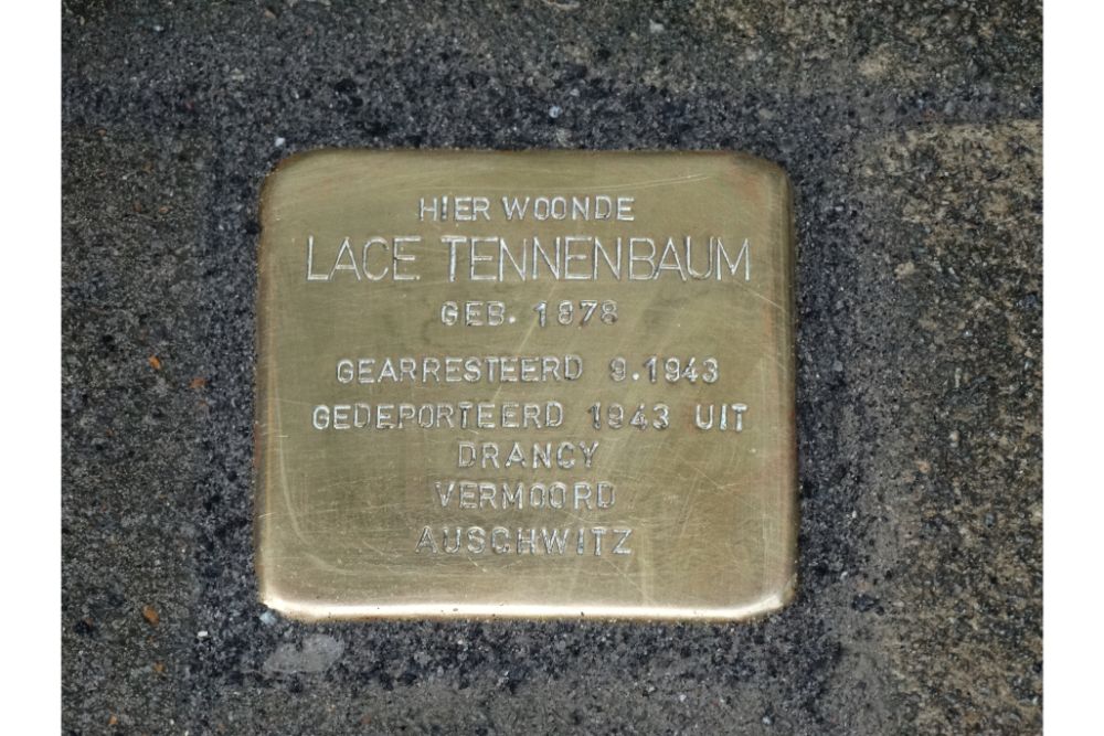 Stolperstein Generaal Capiaumontstraat 37 #2