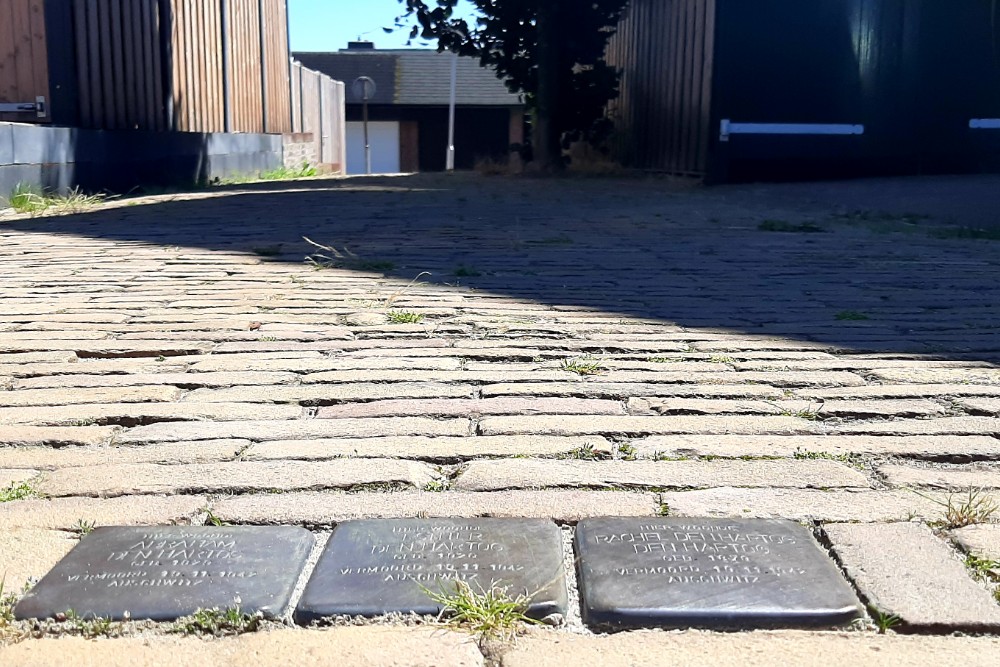 Stumbling Stones Lauwers 8 #2
