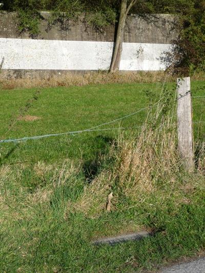 Gedenkteken Tankmuur Schneeberg