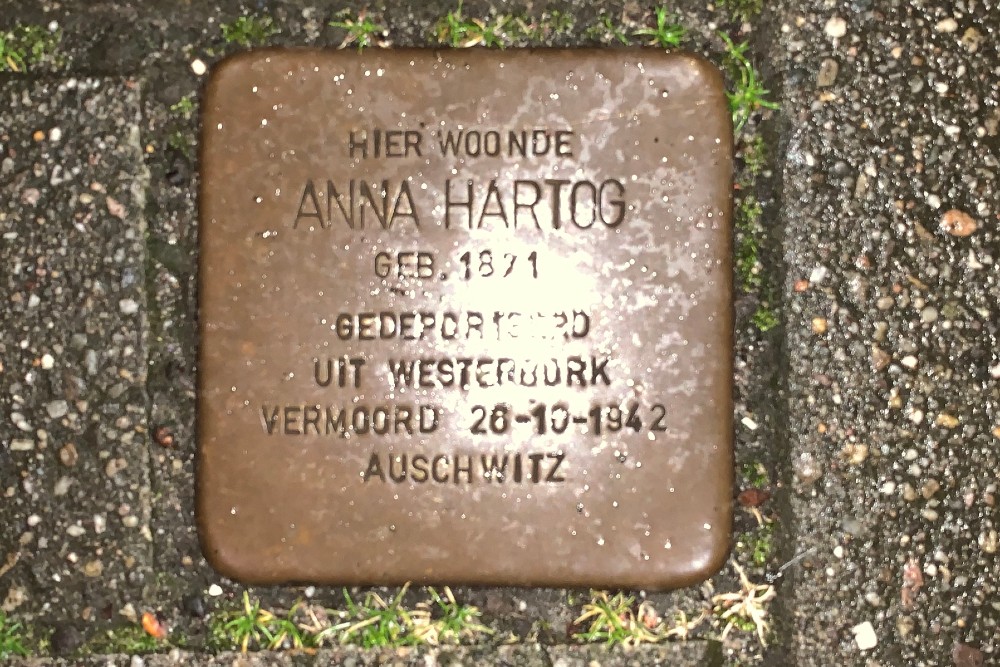 Stumbling Stones Burgemeester Knappertlaan 253a #1