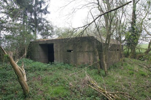 Bunker FW3/28A Fyfield #1