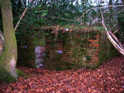 Pillbox FW3/24 Boars Head