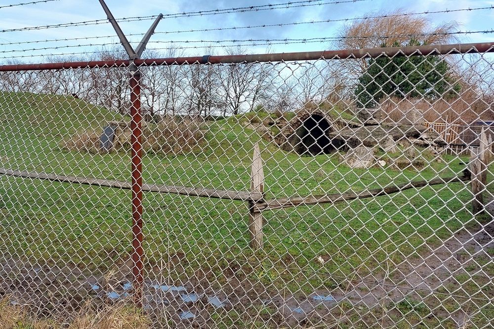 Atlantikwall - FA Munition Bunker Rijnpoort #3