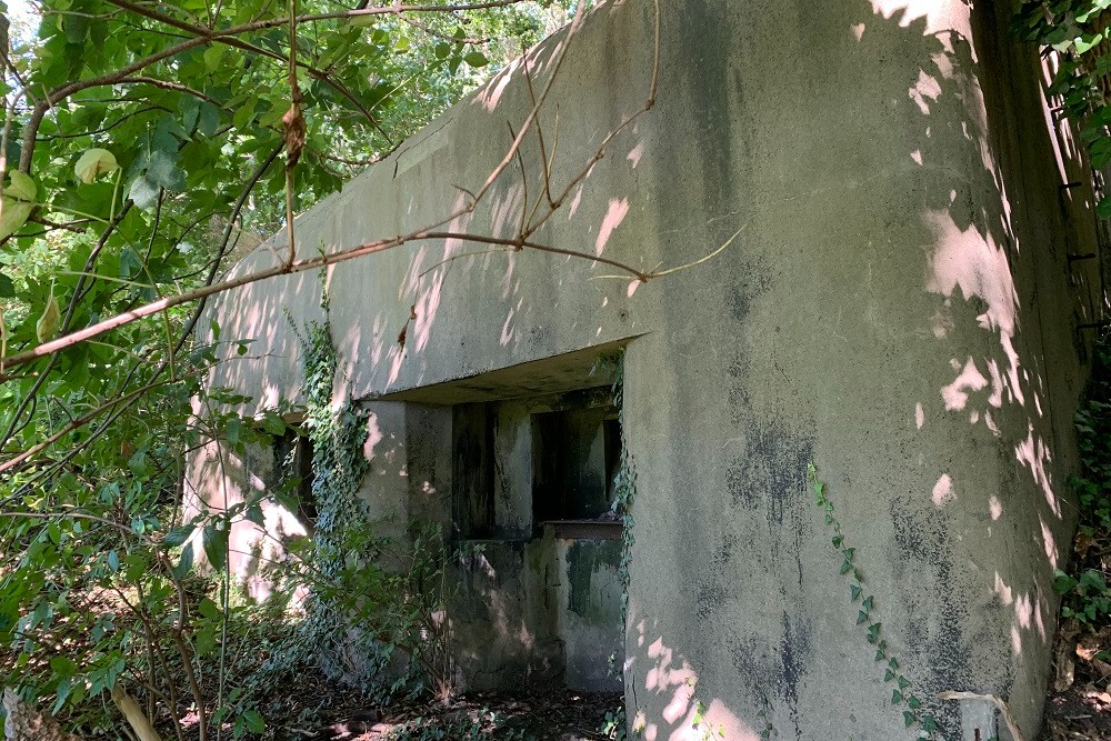 Bunker Mi1 Micheroux #2