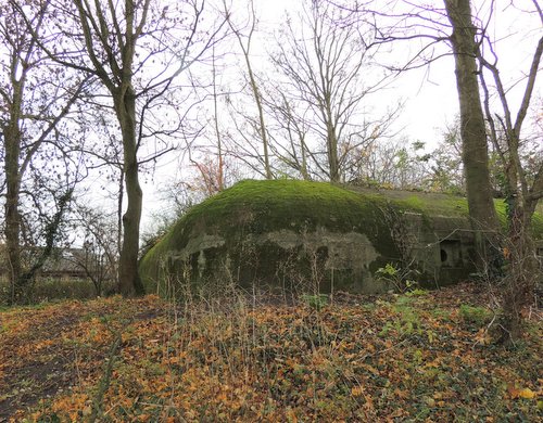 Bunker 6 Sttzpunkt Brnhild 'Park Toorenvliedt' #2