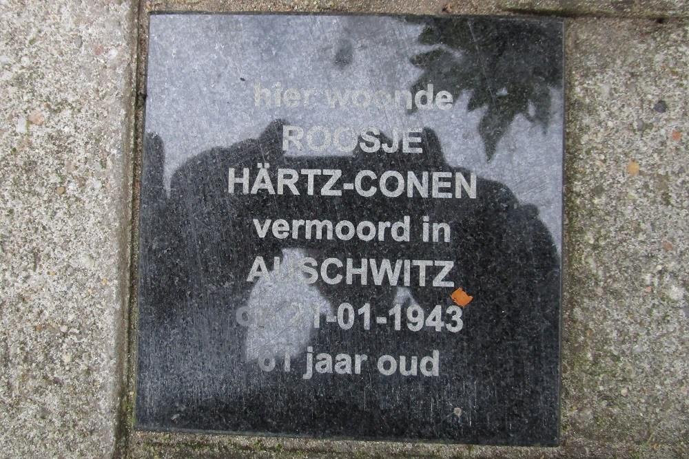 Herdenkingsstenen Albert Hahnstraat 22 #2