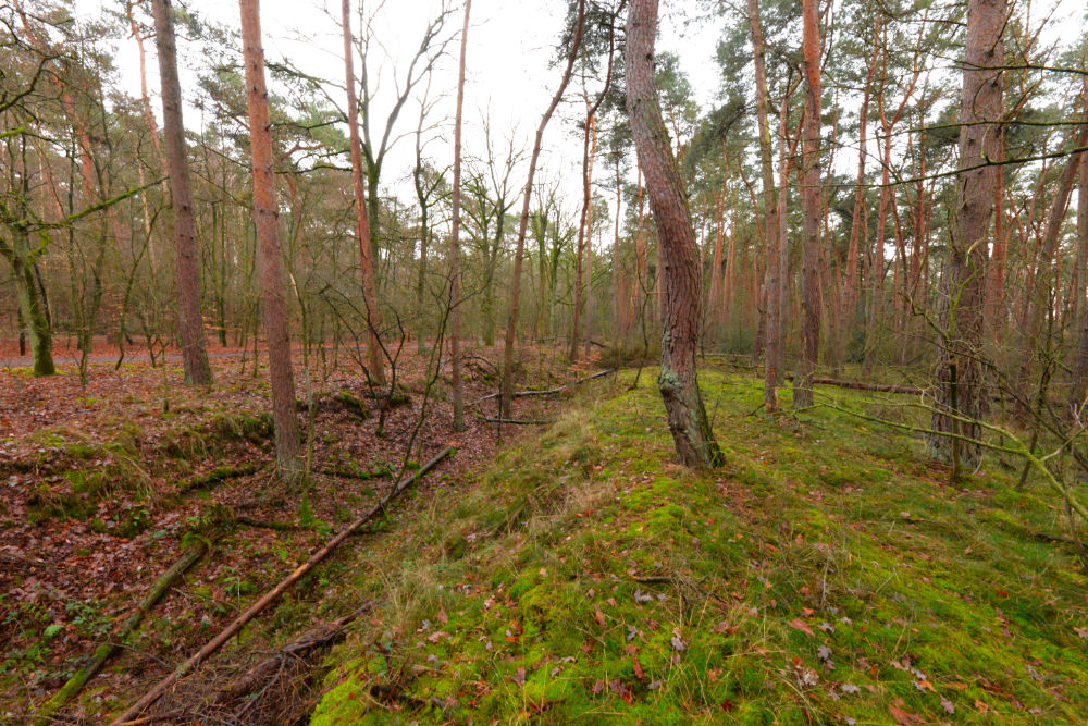 German Anti-Tankditch Near Ringstand 80 #5