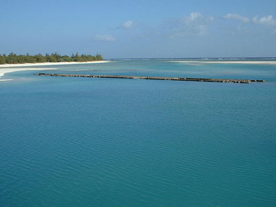 Remains Japanese Bridge