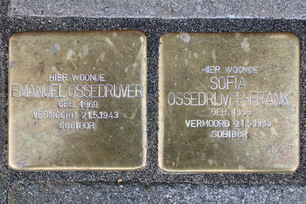 Stolpersteine Koninginnelaan 25 #1
