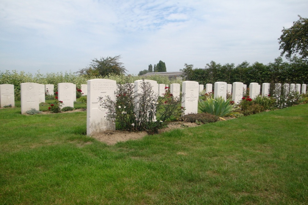 Commonwealth War Cemetery Maple Leaf #2