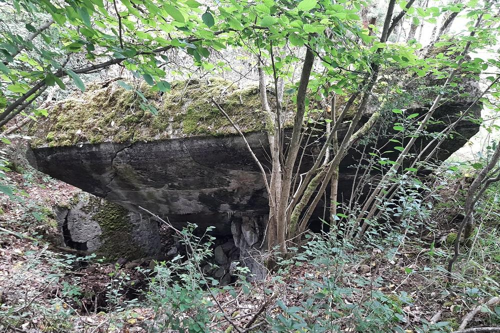 Flakstellung Zingsheim Bunker 1 #5