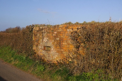 Pillbox FW3/24 Hedging #1