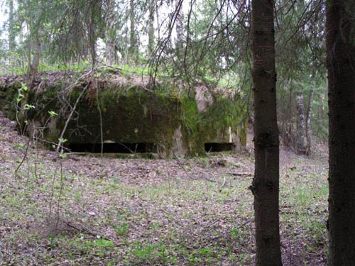 Stalin Line - Casemate Vaskelovo (D) #1