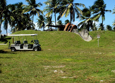 Japanese Type 89 AA Gun Roi-Namur