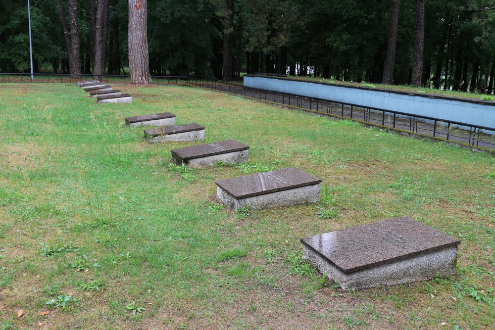 Soviet War Cemetery Druskininkai #3