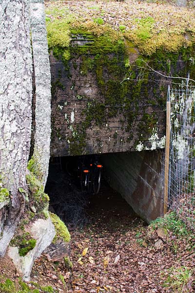 Salpalinie - Bunker Virohlati