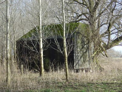 Groepsschuilplaats Type P Sleeuwijk #3