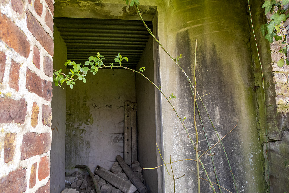 Observation Bunker MN12 #5
