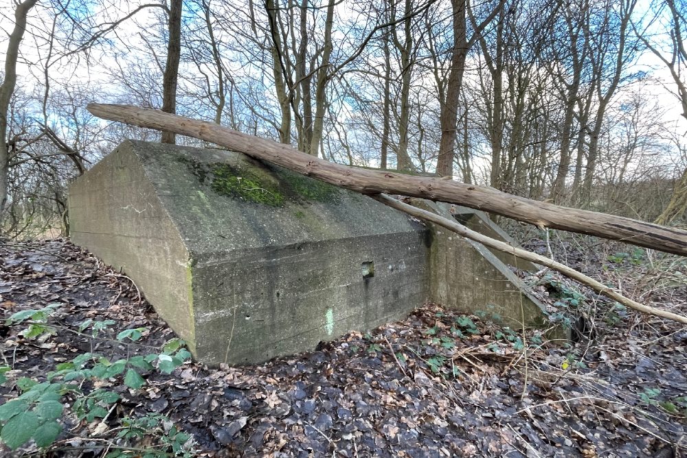 Group Shelter Type 1918/I Velserbroek #1