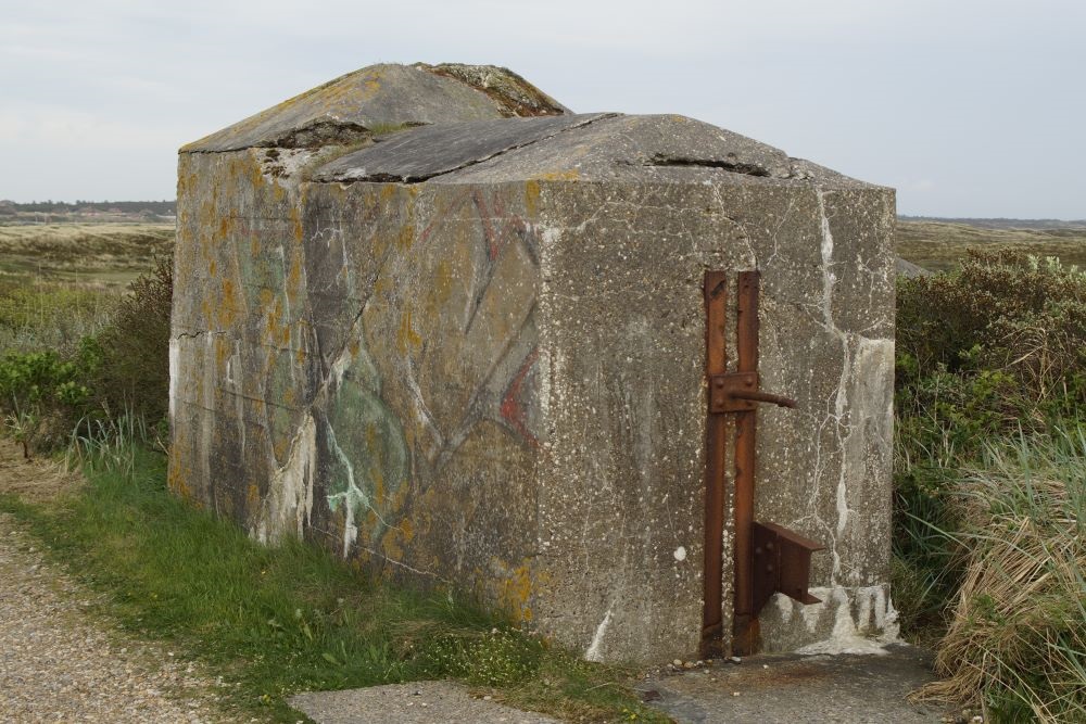 World War 2 Wall #2