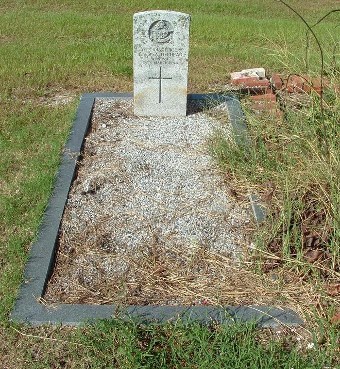 Commonwealth War Grave Palmetto Cemetery #1