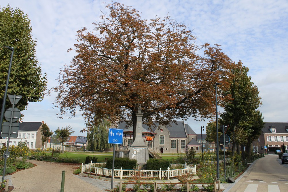 Oorlogsmonument en Vredesboom Oostakker	