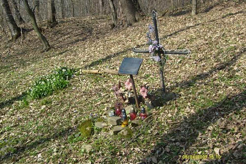 Mass Grave Victims National Socialism Sanok