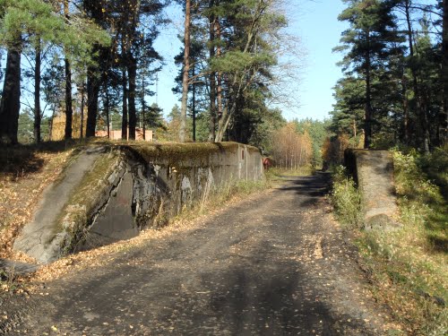 Kustartillerie Fort Krasnaya Gorka (