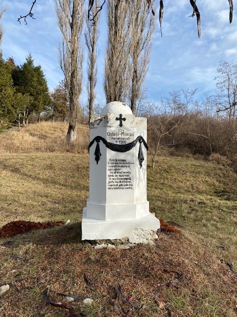 Romanian War Cemetery Roșia #4