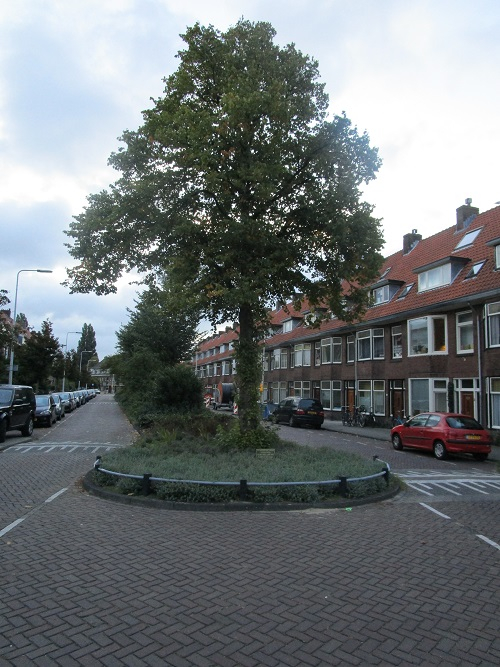 Bevrijdingsboom Leiden #2