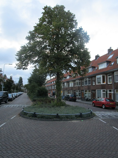 Liberation Tree Leiden #2