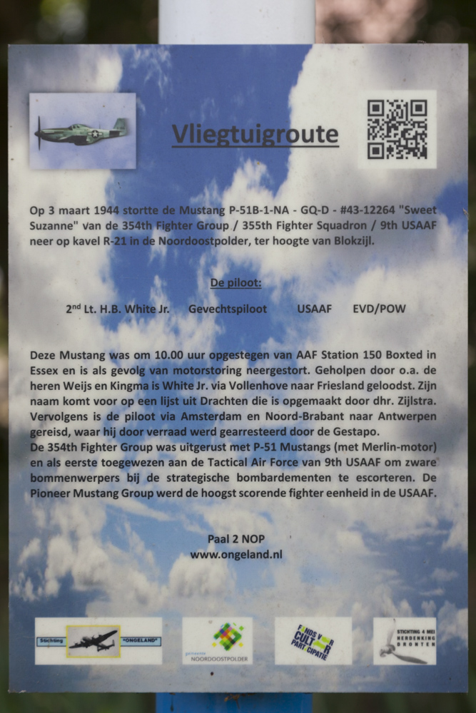 Crashlocatie P-51B Mustang 43-12264 Luttelgeest #3