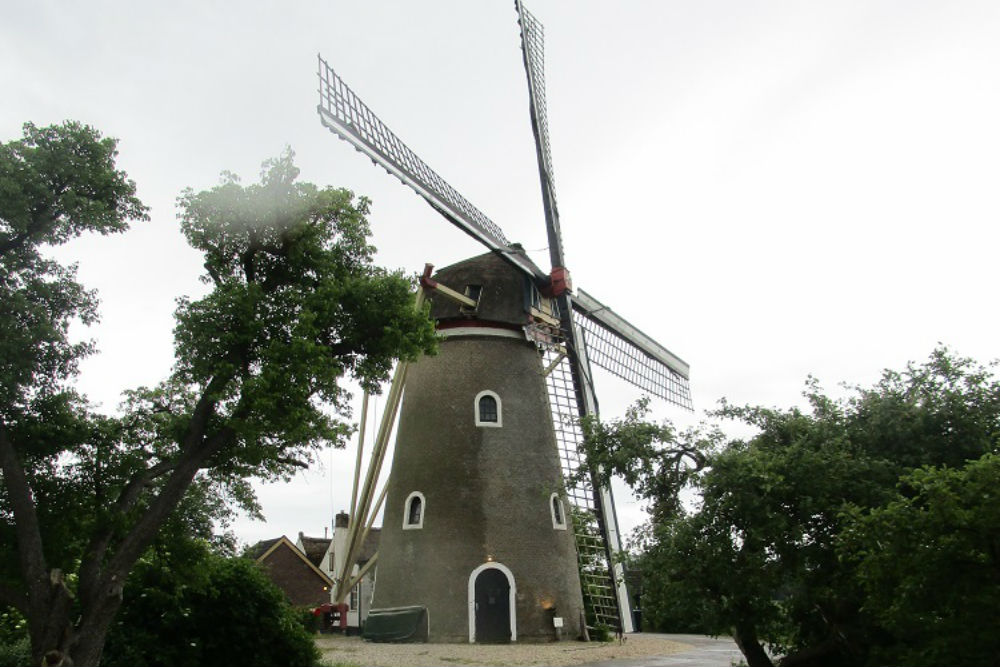 Windmill 