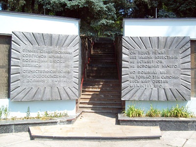 Sovjet Oorlogsbegraafplaats Dolyna #3
