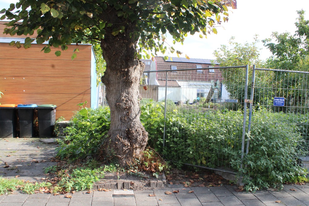 Herdenkingsstenen Trompstraat 7 #4