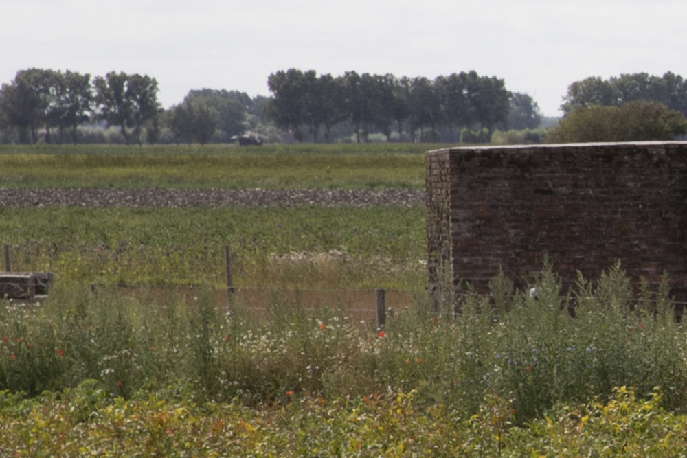 Sttzpunkt Heinrich - Remains Wooden Watchtower