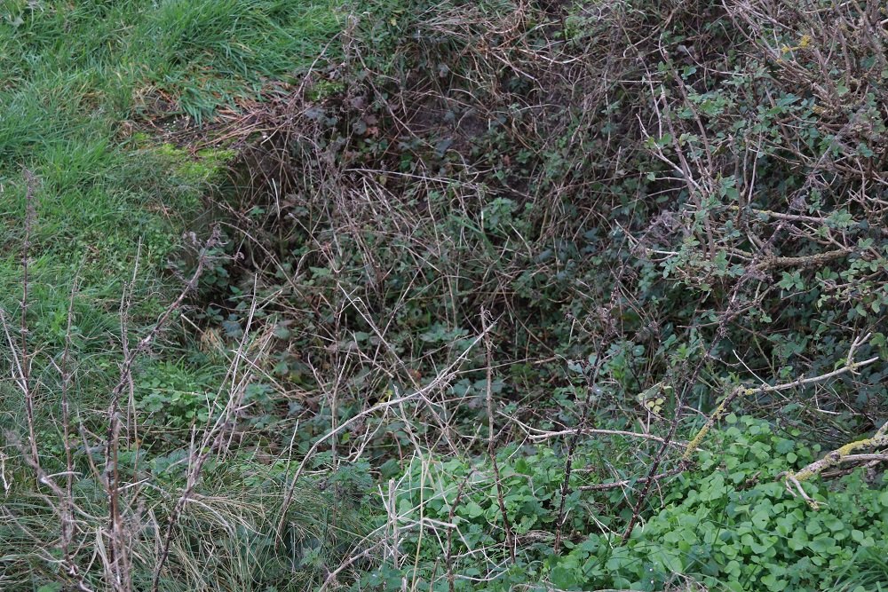 Fliegerhorst Bergen - L13 Bunker (C35)