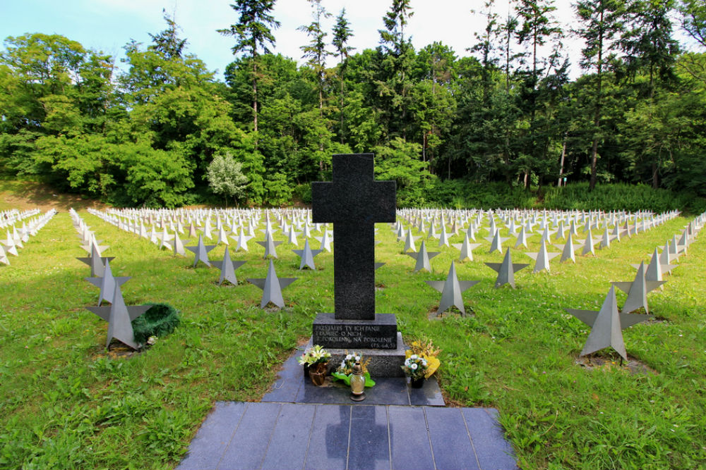 Soviet War Cemetery Gdańsk #2