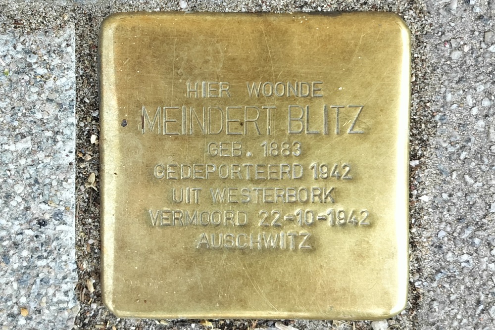 Stolperstein Vijverhofstraat 133