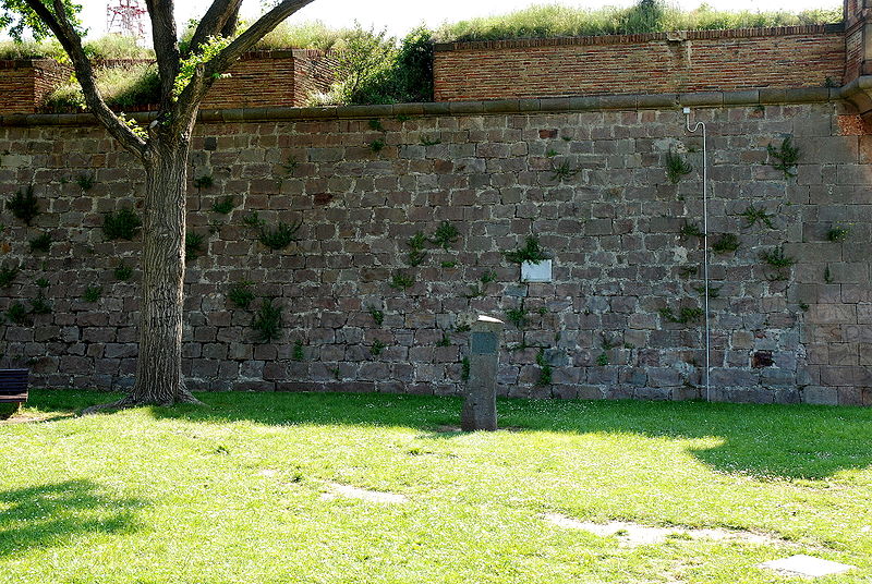 Location Execution Lluís Companys