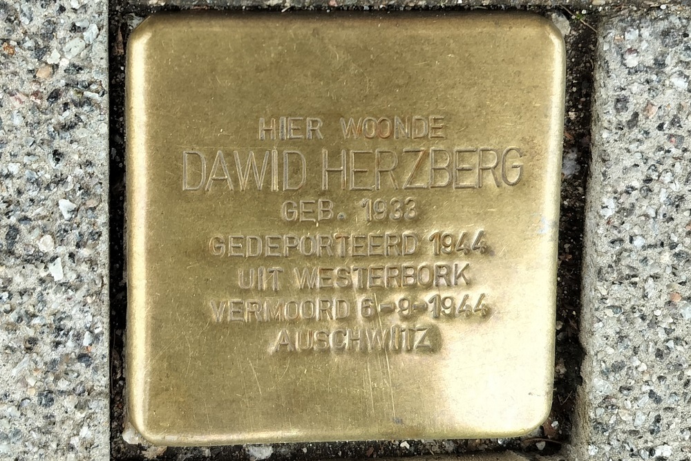 Stolpersteine Bergweg 226a #4