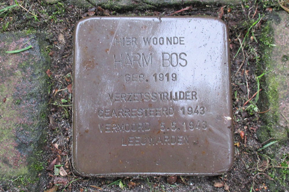 Stolperstein Hogebrinksweg 9