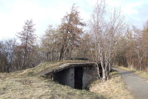 German Anti-aircraft Battery stmarka #1