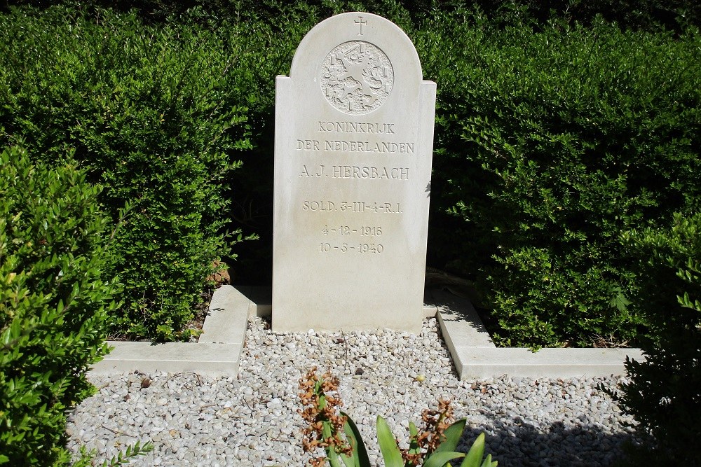 Dutch War Grave Dutch Reformed Cemetery Rijnsburg