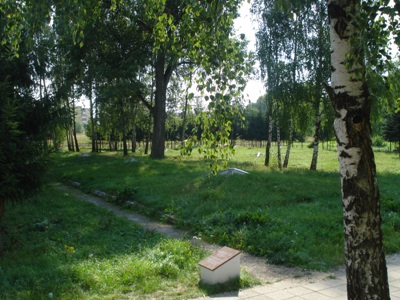 Soviet War Cemetery Naujoji Vilnia #1