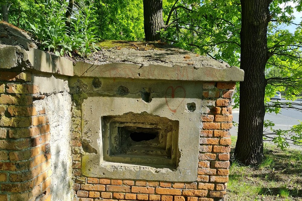 Bunker Festung Graudenz - Fort Strzemiecin #3