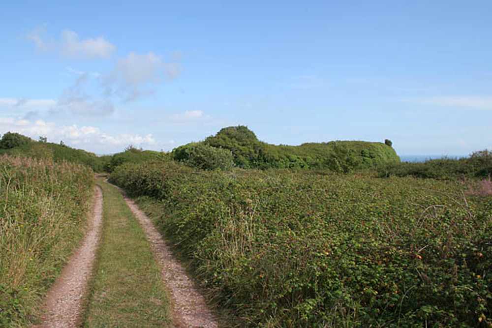 Grenville Battery